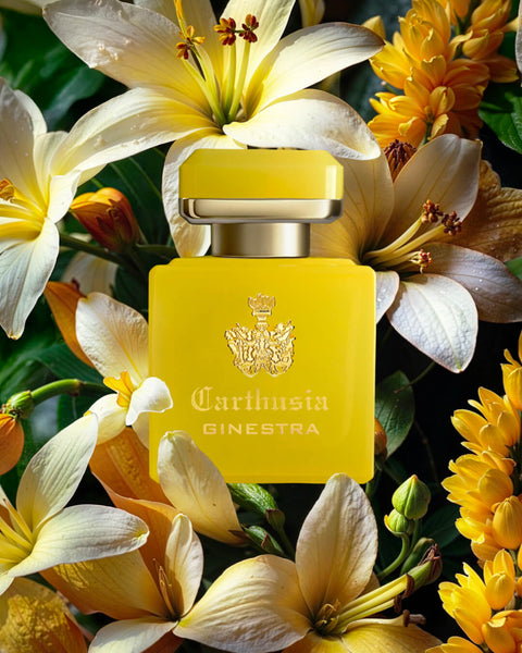 Carthusia Intenso Di Ginestra Profumo 50 Ml