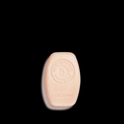 L'Occitane Shampoo Solido Intensive Repair 60 gr