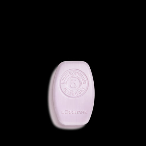 L'Occitane Shampoo Solido Gentle & Balance 60 g