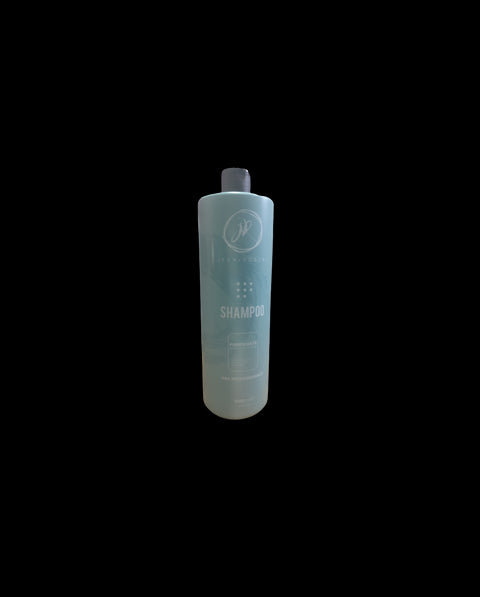 Jean Robert Shampoo Purificante 1000 Ml