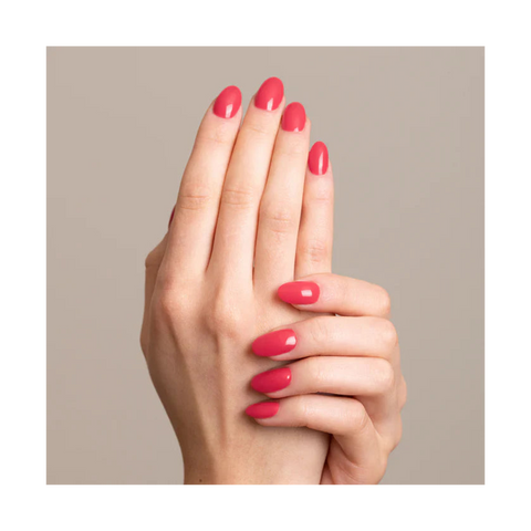 Gelegant Gel Polish 8ml 503 Gerber Daisy