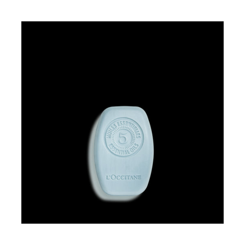 L'Occitane Shampoo Solido Purifying Freshness 60 gr