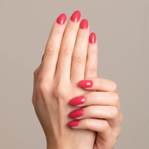 Gelegant Gel Polish 8ml 503 Gerber Daisy