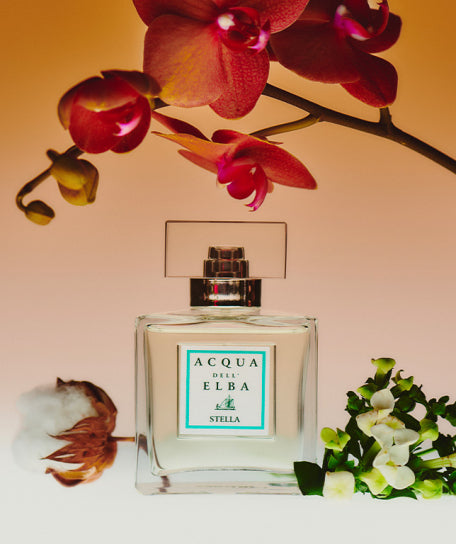 Acqua Dell'Elba Stella Eau De Parfum 100 Ml