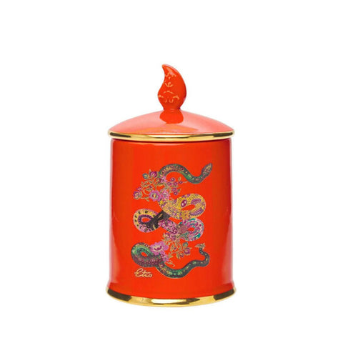 Etro Snake Candela Profumata in Ceramica 170g